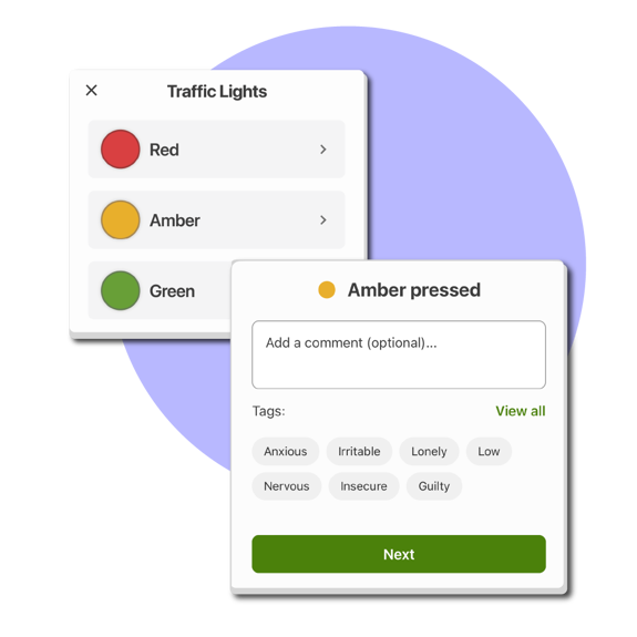 BiH traffic light system